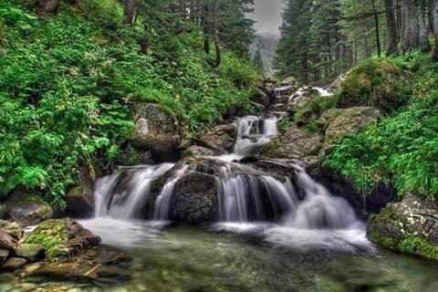 Villa Stresov Borovets Eksteriør bilde